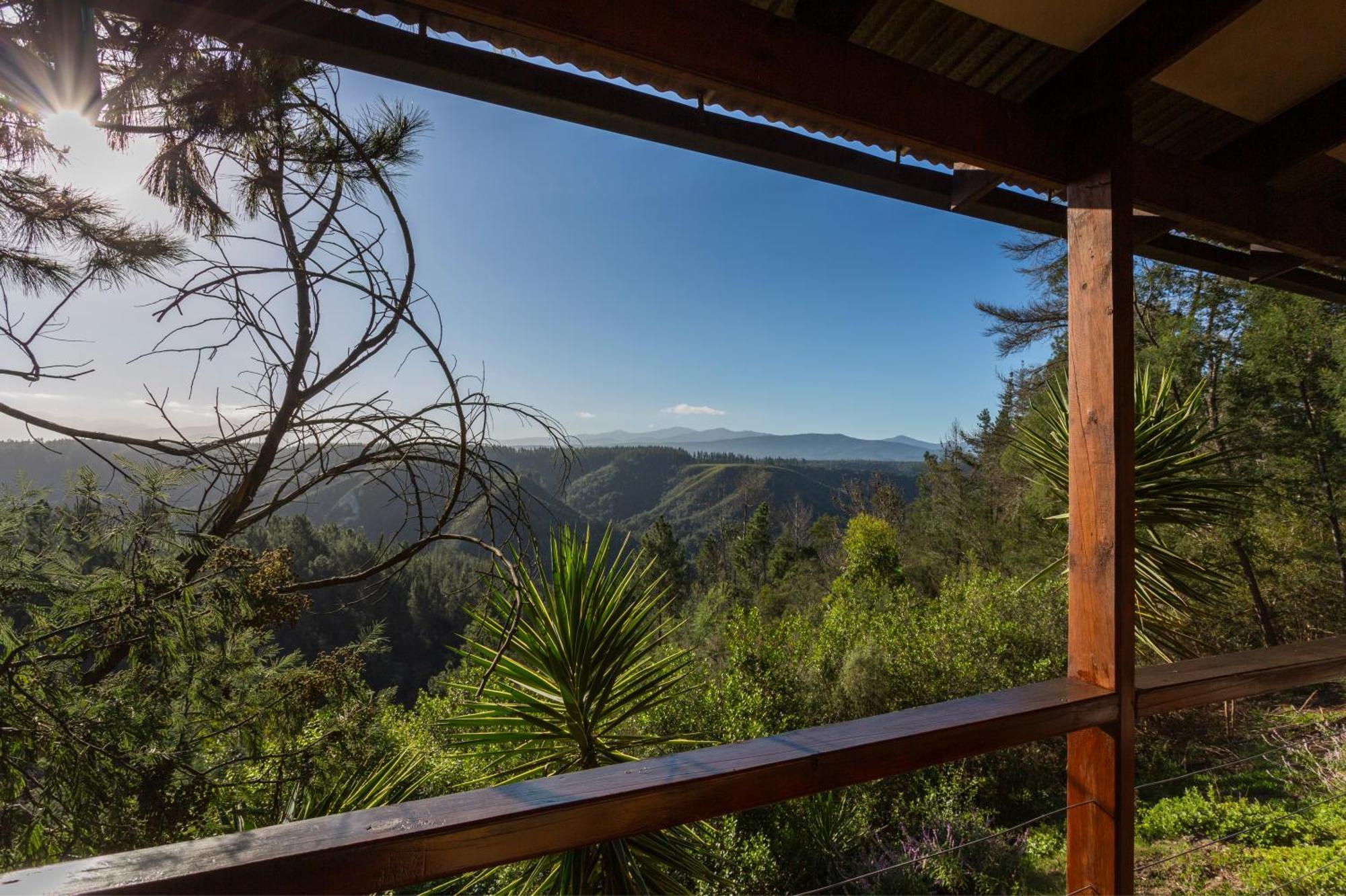 Forest Valley Cottages Knysna Buitenkant foto